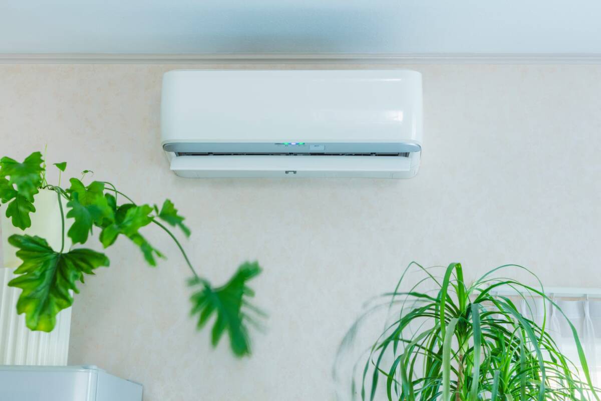 CLIM | Lutter-Pac Lutter-Pac c’est aussi une large gamme de prestations ! Schiltigheim